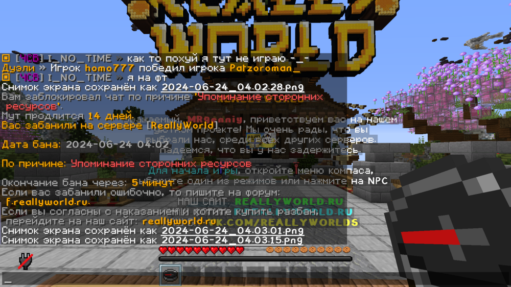 2024-06-24_04_03_15.thumb.png.1d2a20ac6ba9e5593849185592c3a6bb.png