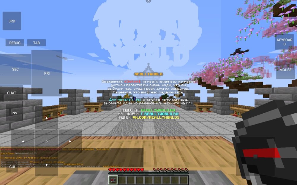Screenshot_20240604_093021_PojavLauncher (Minecraft Java Edition for Android).jpg