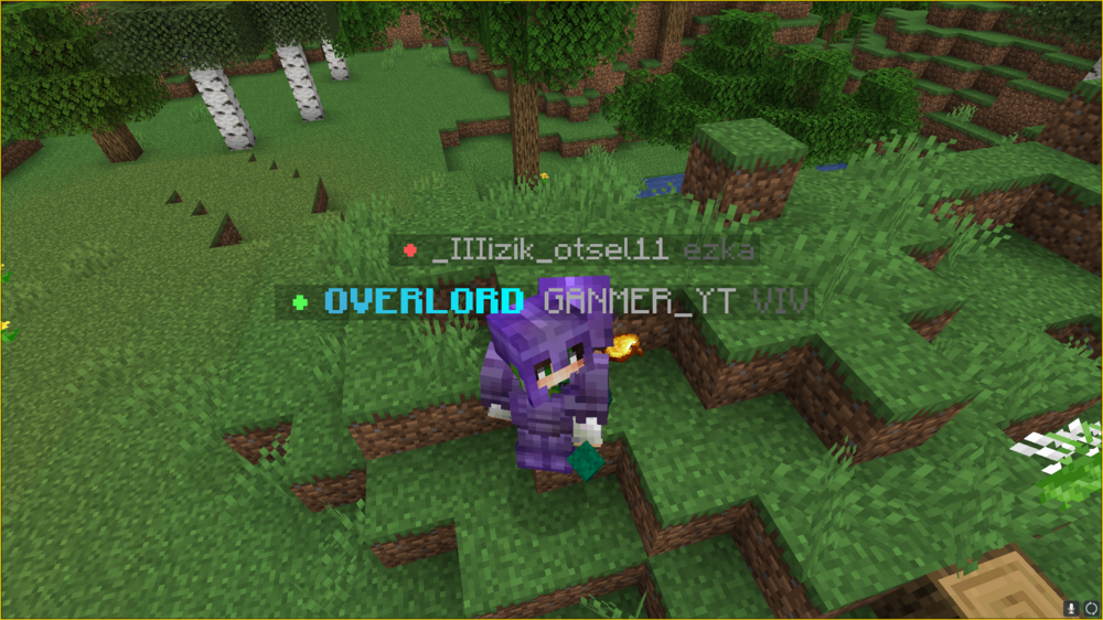 206.png