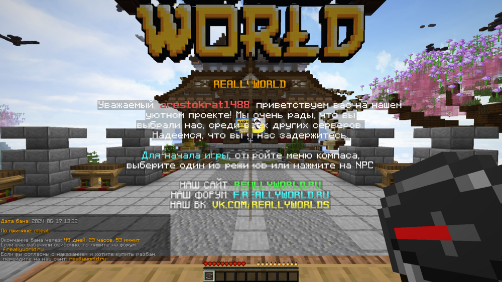 Minecraft Screenshot 2024.06.17 - 13.28.43.88.png