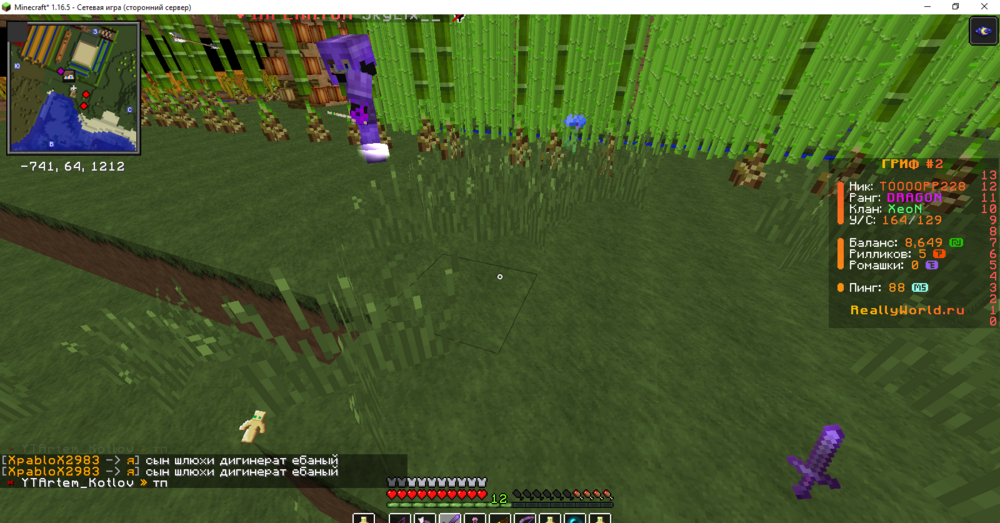 Minecraft_ 1.16.5 - Сетевая игра (сторонний сервер) 22.06.2024 21_38_27.png