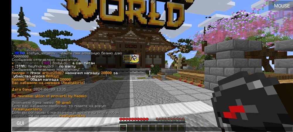 Screenshot_2024-06-09-13-35-11-441_net.kdt.pojavlaunch.jpg