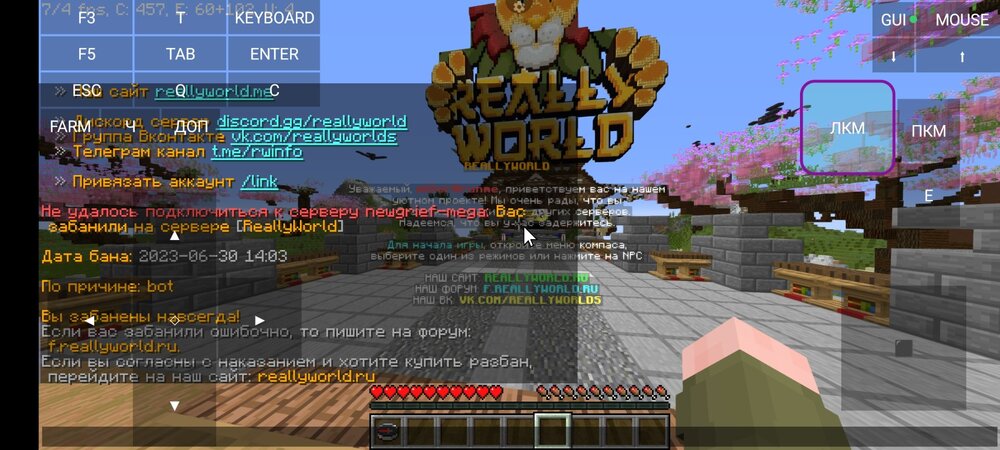 Screenshot_2024-06-10-00-54-19-302_net.kdt.pojavlaunch.jpg