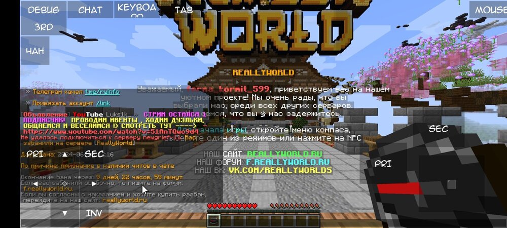 Screenshot_2024-06-18-13-17-47-537_net_kdt.pojavlaunch.thumb.jpg.0cbed8b235feb462695784e1e368daba.jpg