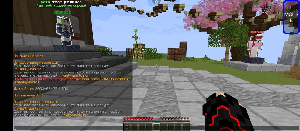 Screenshot_20240608-111433.jpg