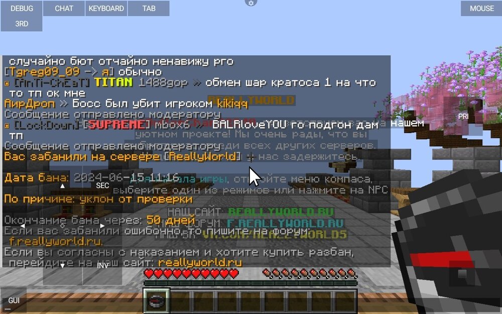 Screenshot_20240615_111645_net.kdt.pojavlaunch.jpg