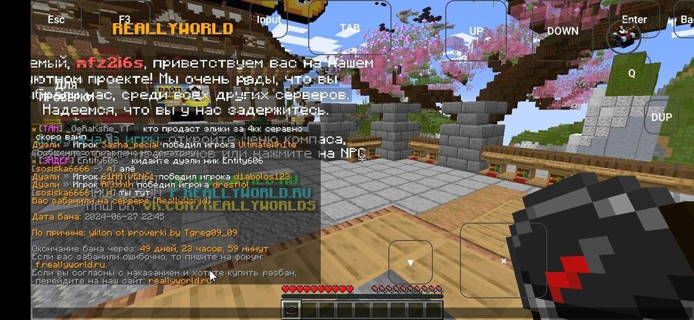 Screenshot_20240627_224605_com.tungsten.fcl.jpg