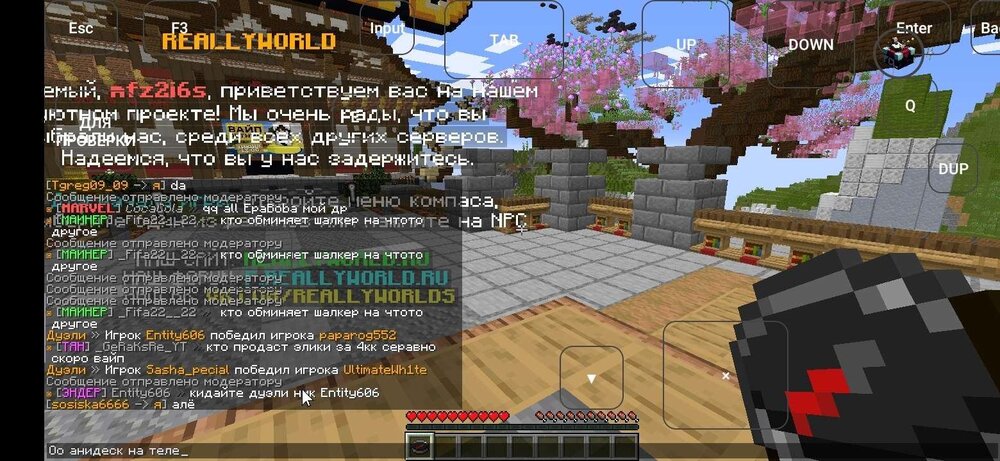 Screenshot_20240627_224608_com.tungsten.fcl.jpg