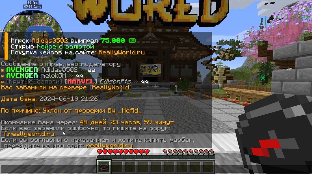 image.thumb.jpeg.6d0840fb42e7de47b8aa0bdd38101bec.jpeg