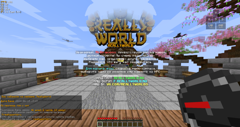 image.thumb.png.637e878b3e2e28c5569d3ccf3b4a5a37.png