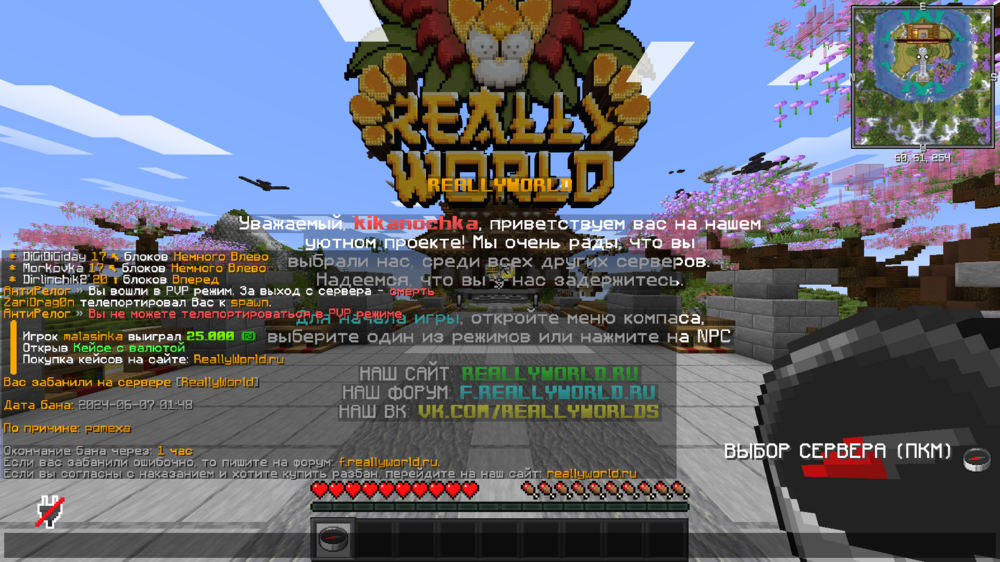 image.thumb.png.92250c9b8a26d876ddafbb3348e213db.png