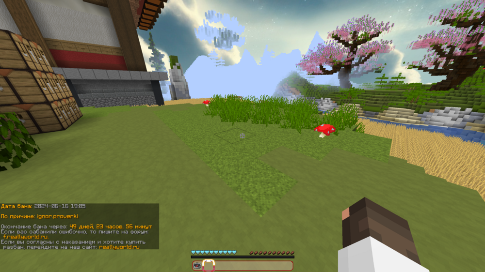 image.thumb.png.b5851c74ff8d5721d00ce7dcff18ccdf.png