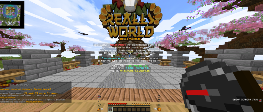 image.thumb.png.f0e83f1bd7d389e1c670d83d58c6bff8.png
