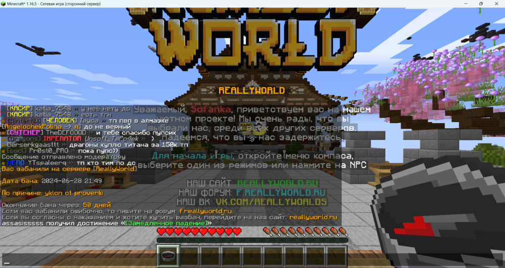 image.thumb.png.ff83a969e2a4a199ed6f630fd4c9b2e1.png