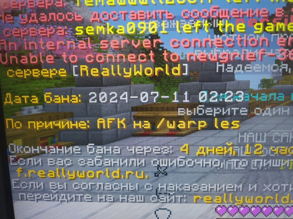 17206956899727858475437873572234.jpg