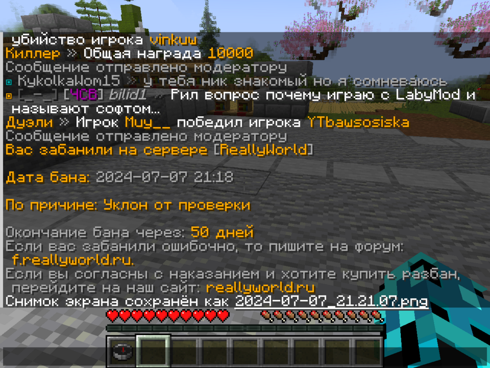 2024-07-07_21.25.46.png