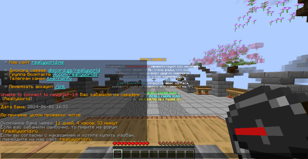 2024-07-10_12.16.23.png