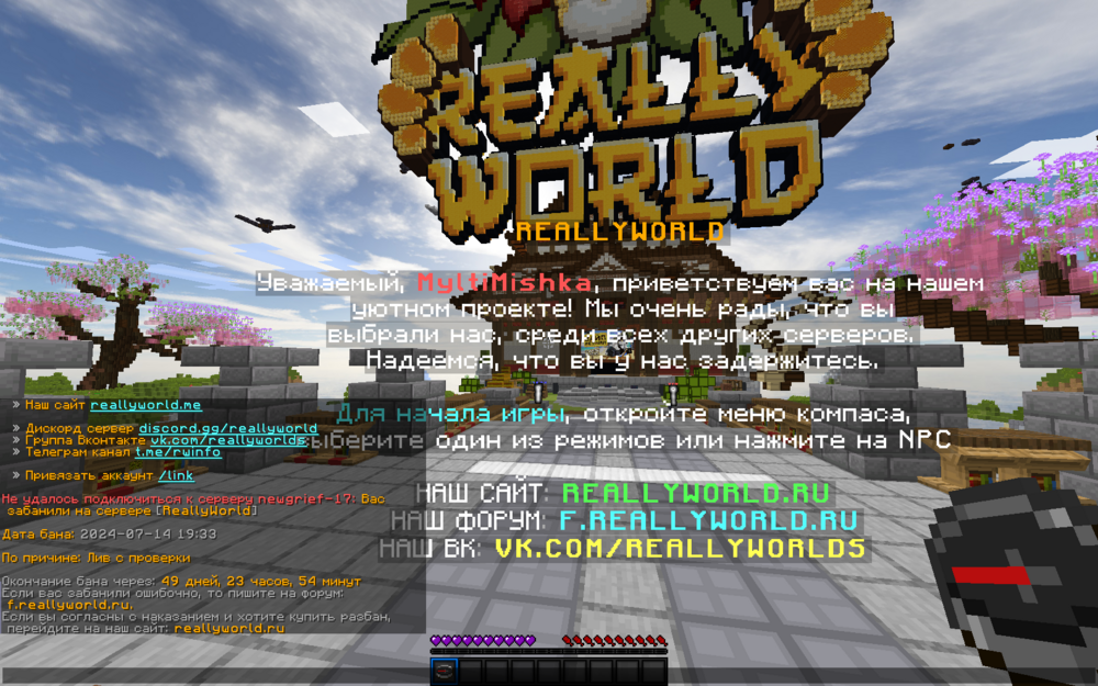 2024-07-14_19.39.11.png