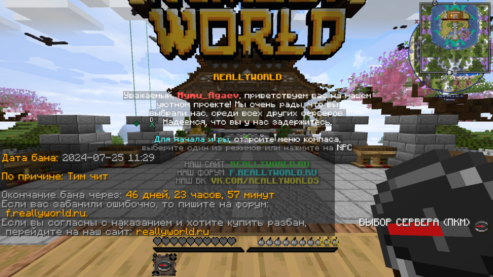 2024-07-25_11.31.51.png