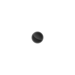 host