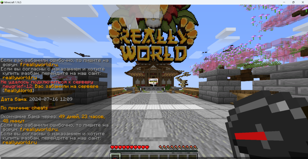 Minecraft 1.16.5 16.07.2024 12_21_44.png