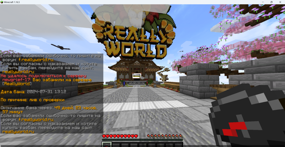 Minecraft 1.16.5 31.07.2024 13_15_51.png