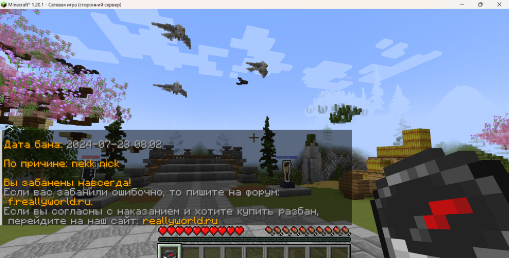 Minecraft_1_20_123.07_202412_13_03.thumb.png.fafa32173b3d4299ed7e6ef672b64cf7.png
