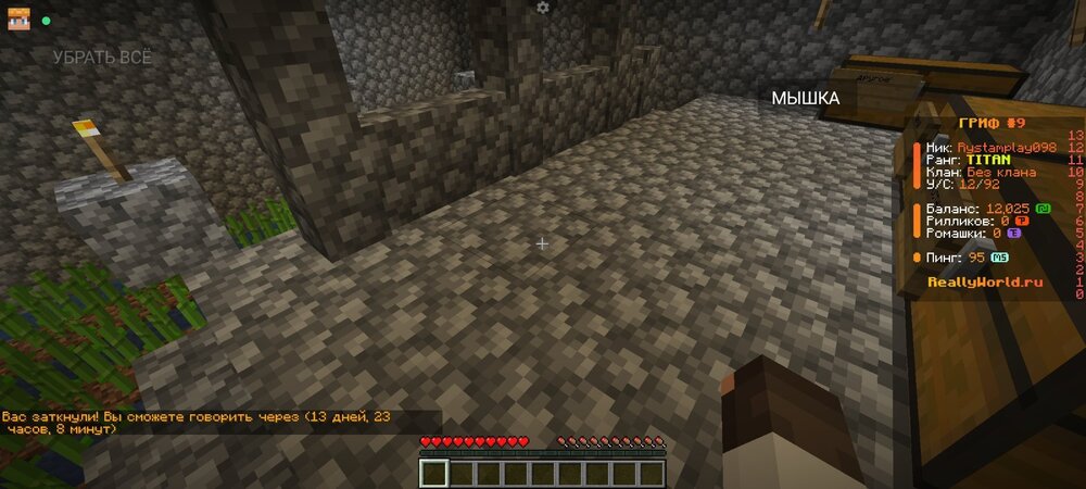 Screenshot_2024-07-02-17-35-51-279_net.kdt.pojavlaunch.jpg