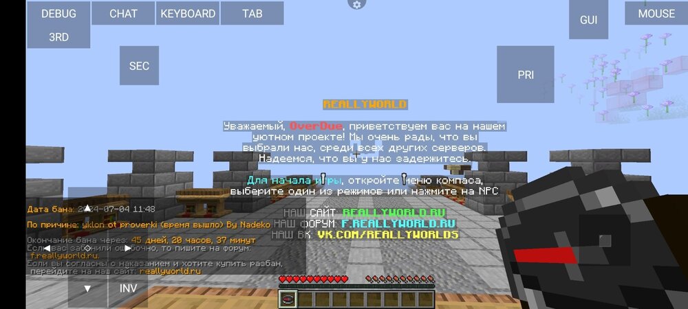 Screenshot_2024-07-08-17-12-10-283_net_kdt.pojavlaunch.thumb.jpg.957f5c0b5cce643c58d693f909341b21.jpg