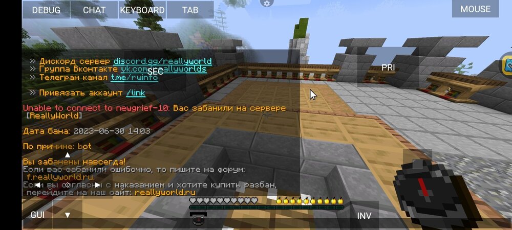 Screenshot_2024-07-16-12-46-14-660_net_kdt.pojavlaunch.thumb.jpg.8443e9aebcddd83acfce046153c0f6e6.jpg