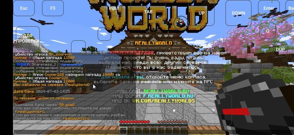 Screenshot_20240703_142638_com.tungsten.fcl.jpg