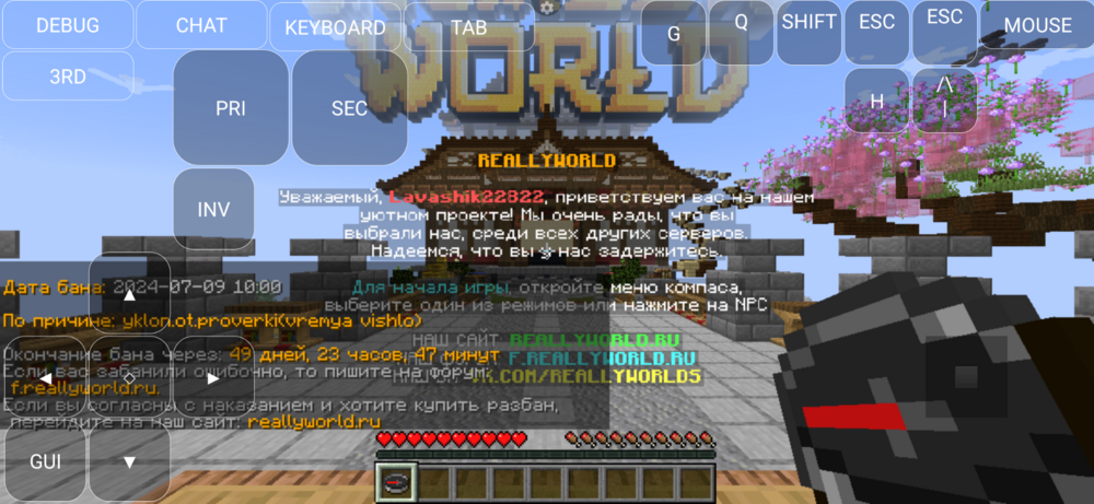 Screenshot_20240709_121233_PojavLauncher (Minecraft Java Edition for Android).png