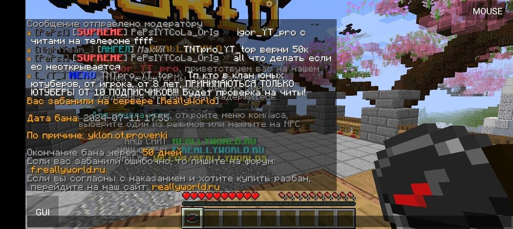 Screenshot_20240711-201833.jpg