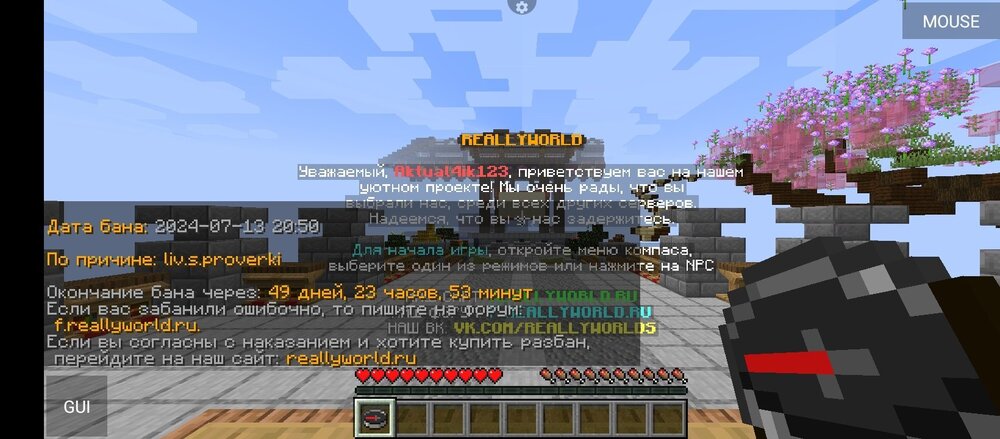 Screenshot_20240713-205648.jpg