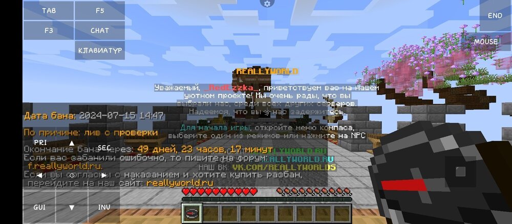 Screenshot_20240715-152912.jpg