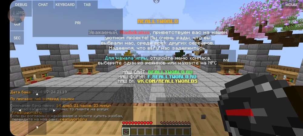Screenshot_20240724_235643_PojavLauncher (Minecraft Java Edition for Android).jpg