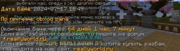 image.jpeg.77a425fe3639350149007ddb7187b3a5.jpeg