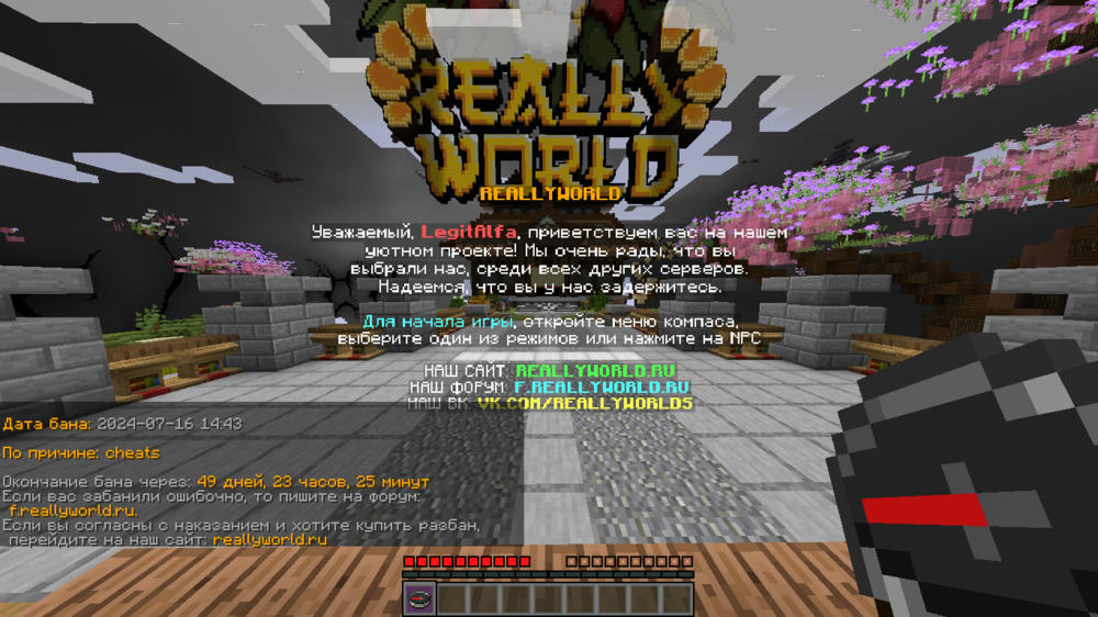 image.thumb.png.201351c014a053c96ee60d97c3cd48e5.png