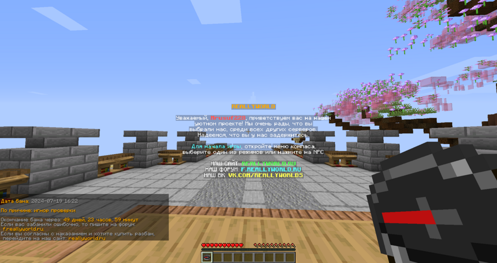 image.thumb.png.3152c896e8dc26880656bfbe734e397d.png