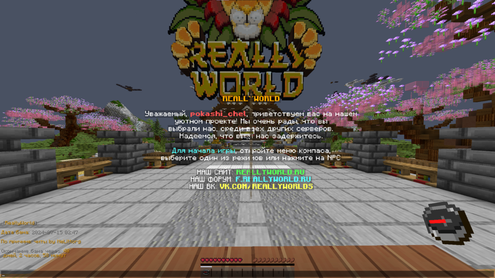 image.thumb.png.7f9350b4ffb1657bfaf0fefb423faffd.png