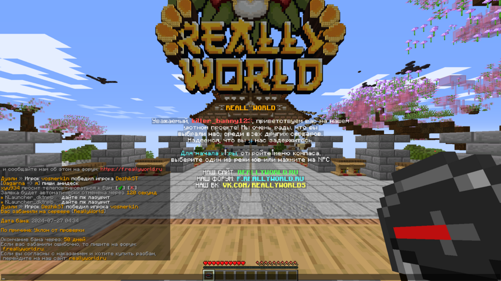 image.thumb.png.c6e5488594681eac7e3aaeeed4e7eab1.png
