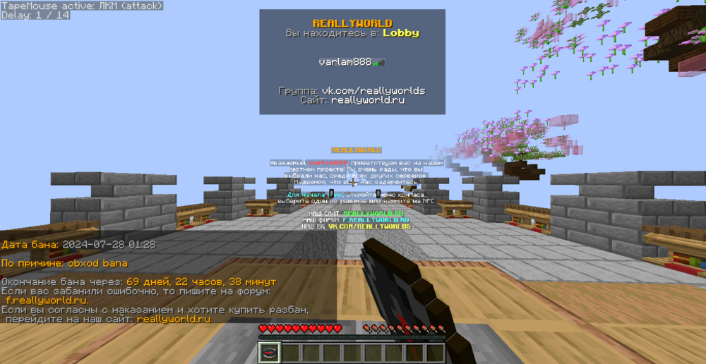 image.thumb.png.d8b1071eb3eee188be95f7b7747b8e11.png