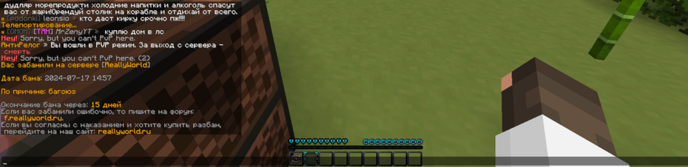 launcher Screenshot 2024.07.17 - 21.03.25.91.png