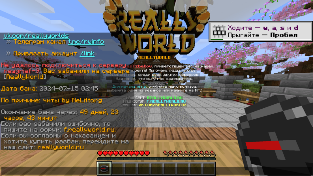 rek.thumb.png.5e7a64e4da8796527ad95c3b1accbce4.png