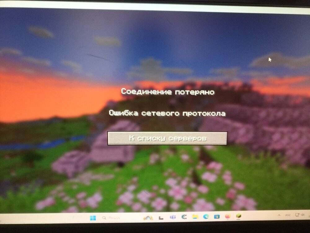 баг.jpg