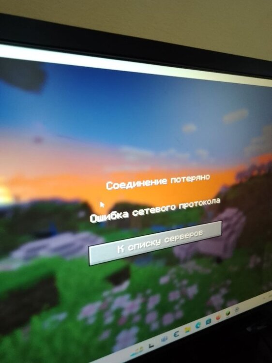 баг.jpg
