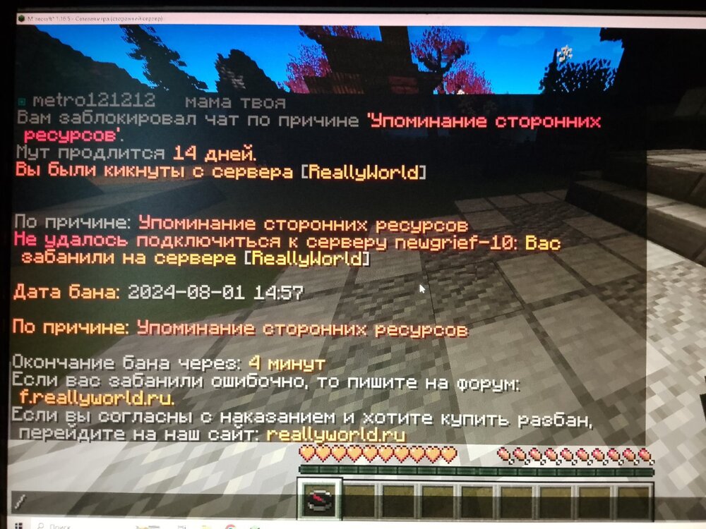 17225134888373151727791732716611.jpg