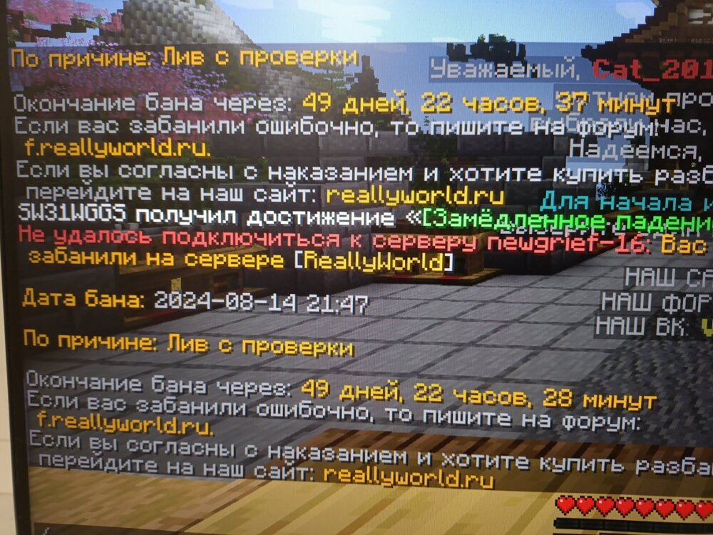 17236667458604956642496446822803.thumb.jpg.c405171ebf39b9132f5b0ec3460dbb62.jpg
