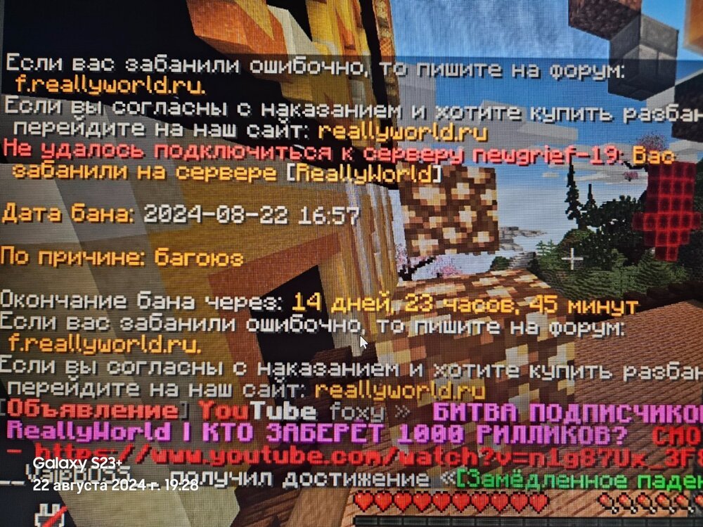 17243368877675853605745149262669.thumb.jpg.6fd031506f95b0ecfa89f01ecbea745e.jpg