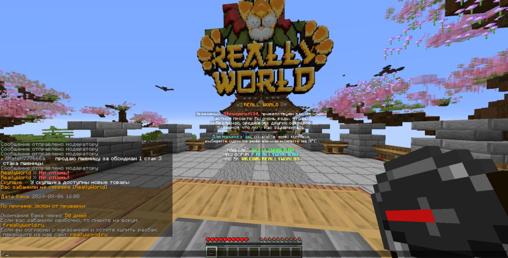 2024-08-06_16_01_39.thumb.png.8d661b395d6c9bdd9d66011d6f3ce54c.png